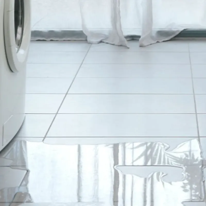 Appliance Leak Cleanup in Douglasville, GA